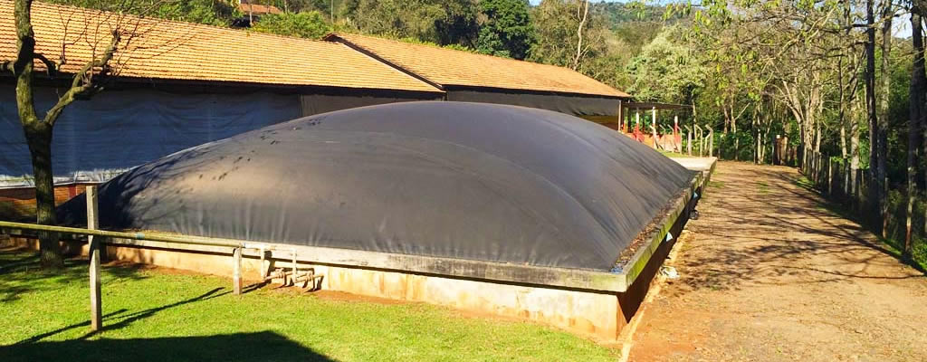 Empresa do Paraná apresenta biodigestores para produtores