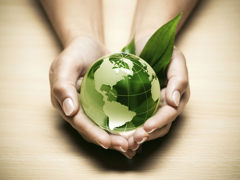 consultoria_ambiental